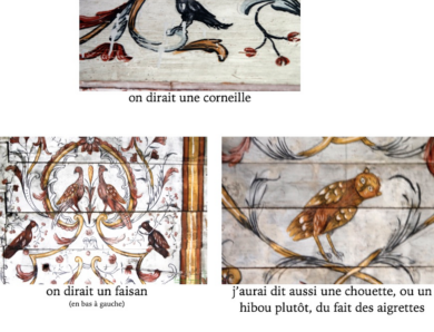 Quelques oiseaux de Piétat